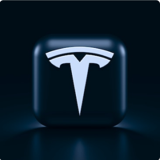picture of tesla logo Product